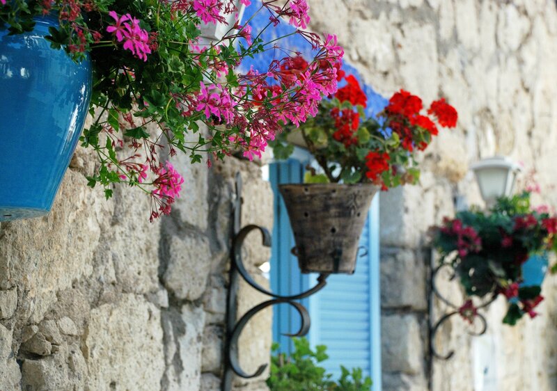 Flower Pots on Stone Wall — Blue, Serene