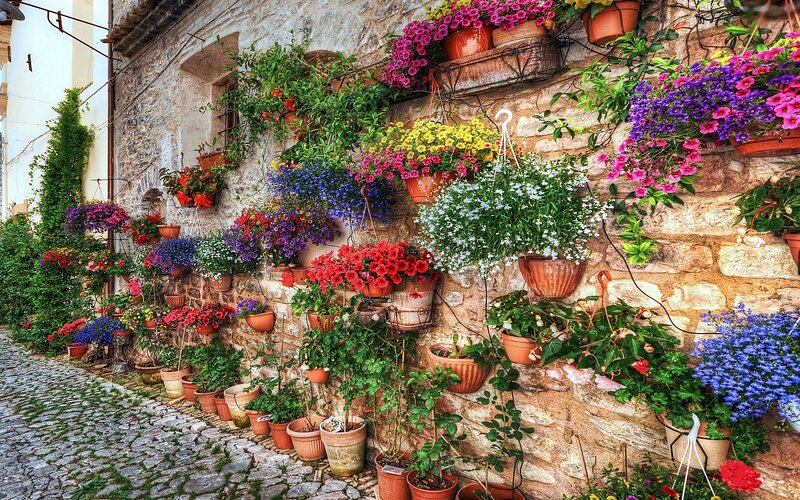 Flower Pots on Stone Wall — Green