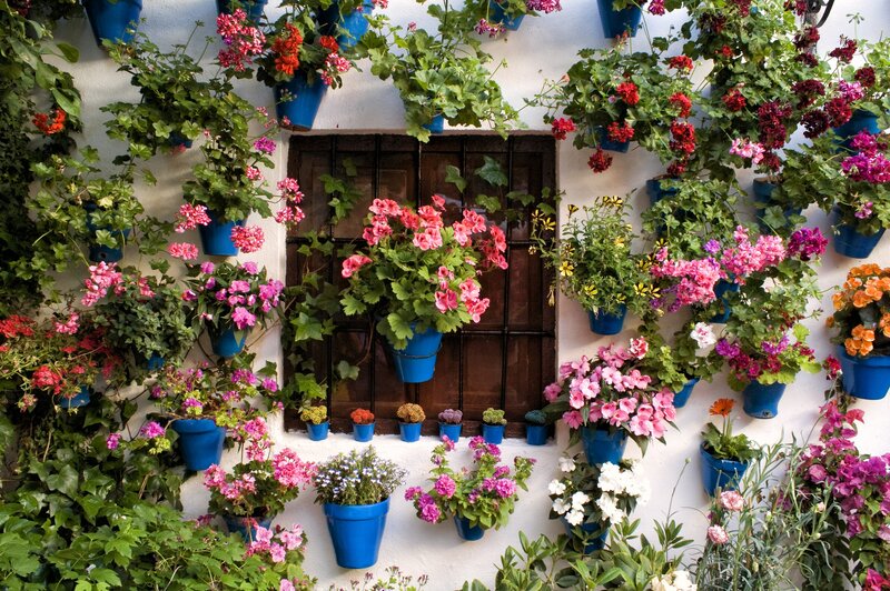 Flower Pots on Wall — Blue