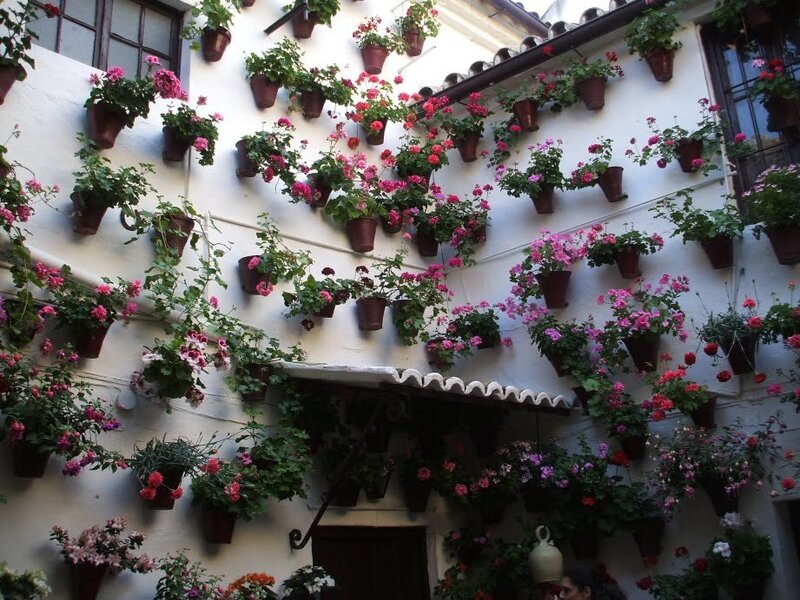 Flower Pots on Wall