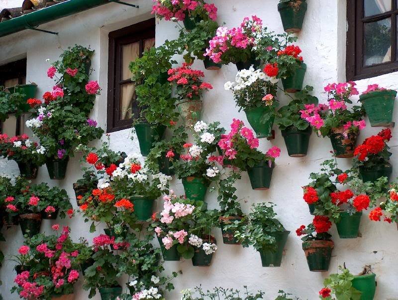 Flower Pots on Wall — White, Colorful