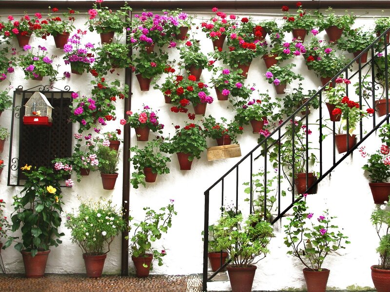 Flower Pots on Wall — White, Lively