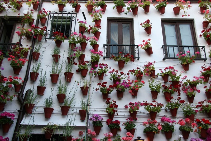 Flower Pots on Wall — White