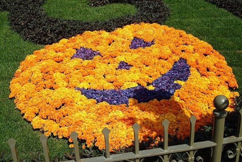 Flower Pumpkin Design
