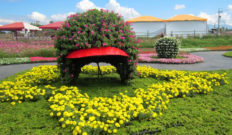 Flower Sculpture in Garden — Yellow