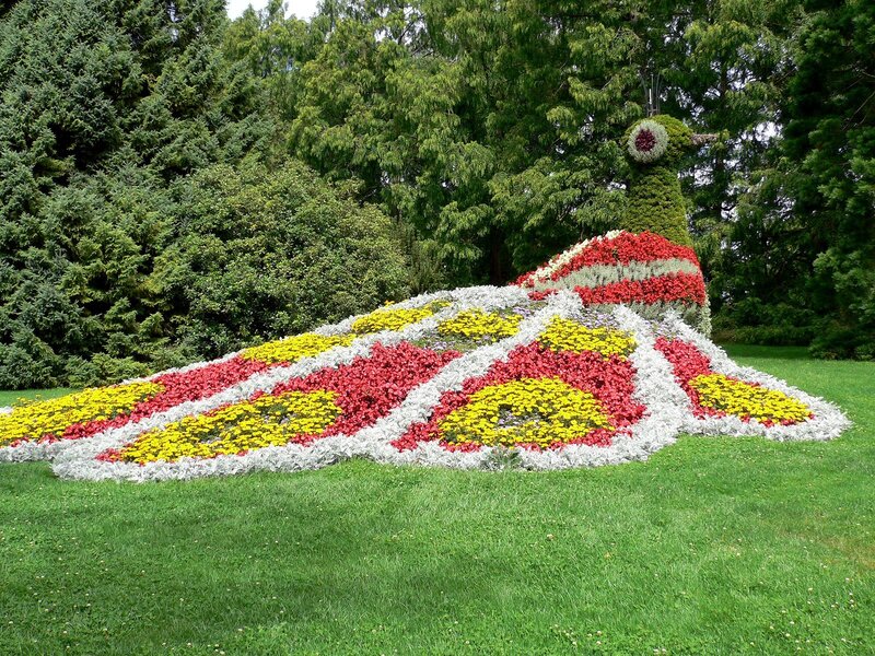 Flower sculpture of a peacock
