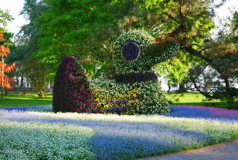 Flower Sculpture of Duck
