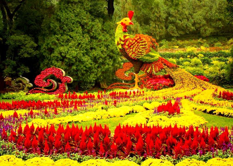 Flower Sculpture of Rooster