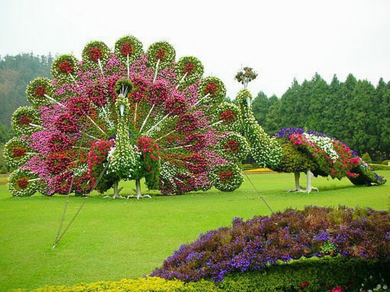 Flower Sculptures of Peacocks