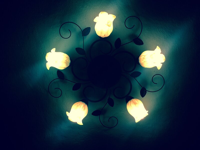 Flower-shaped Ceiling Light