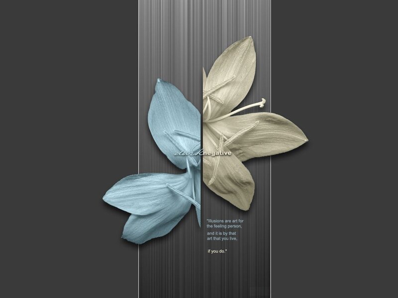 Flower split by vertical line