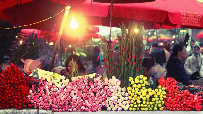 Flower stall at night market