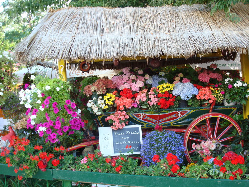 Flower stall with thatched roof