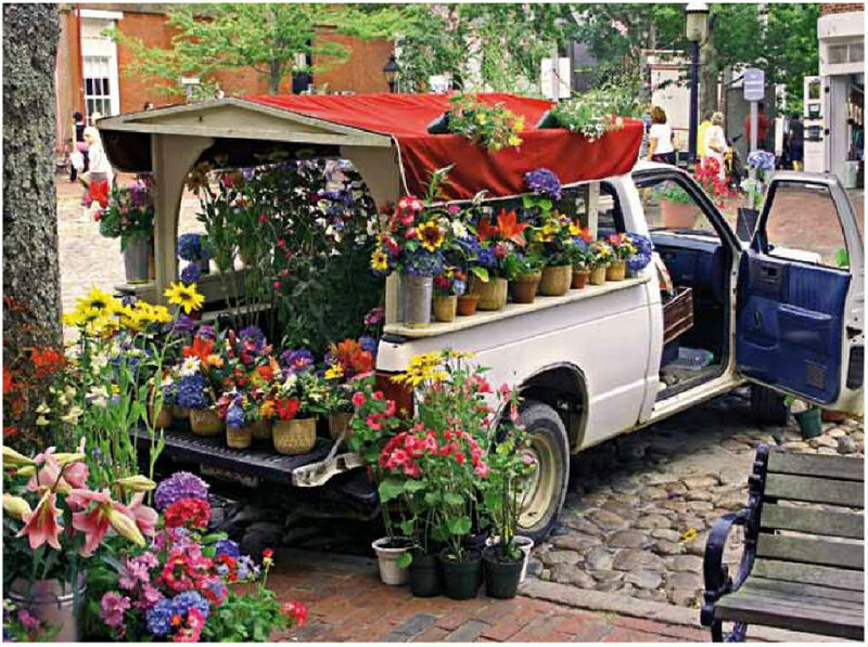 Flower Stand in Truck