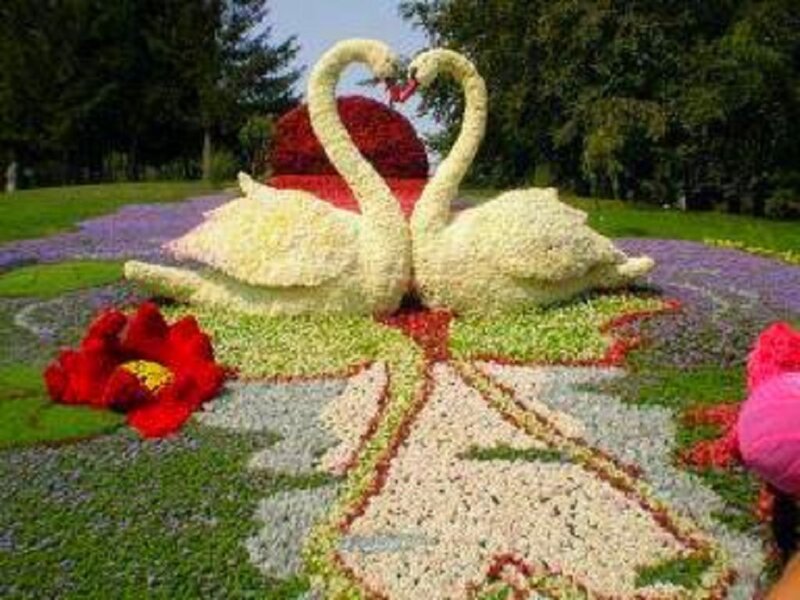 Flower Swan Sculpture
