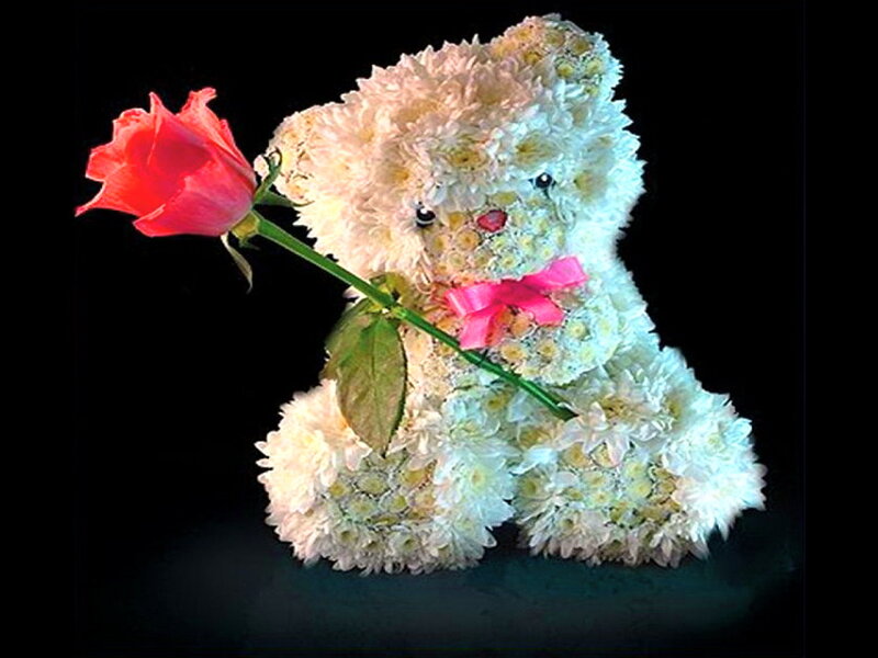 Flower Teddy Bear — White