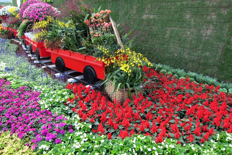 Flower Train Display