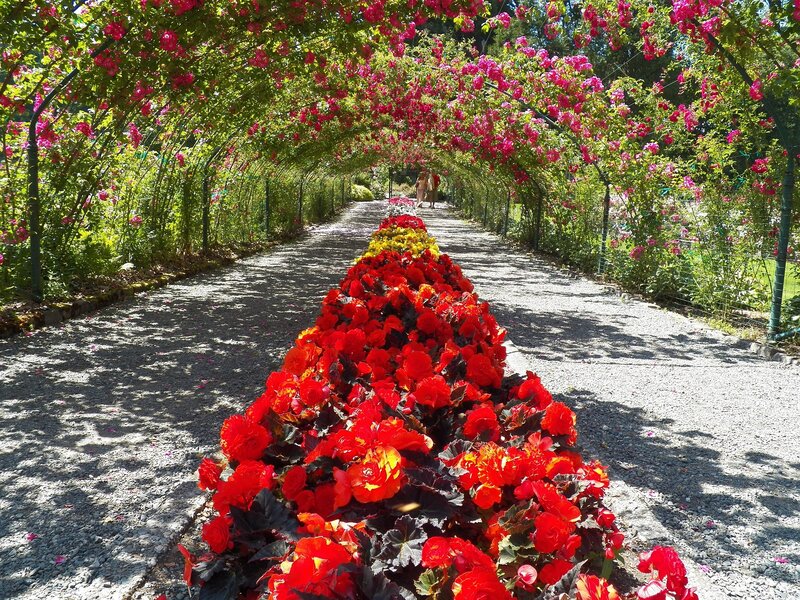 Flower Tunnel Pathway