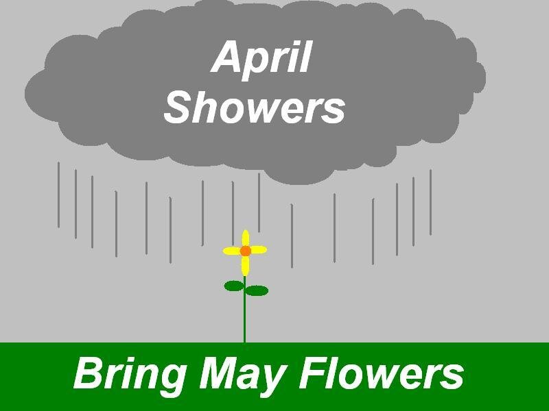 Flower under Rain Cloud