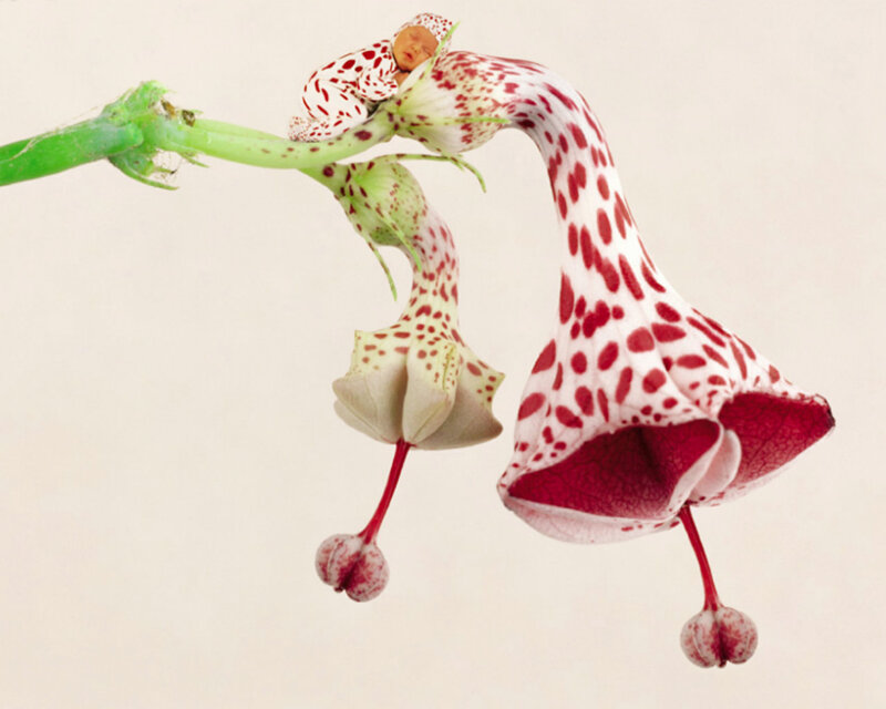 Flower with Baby Figure