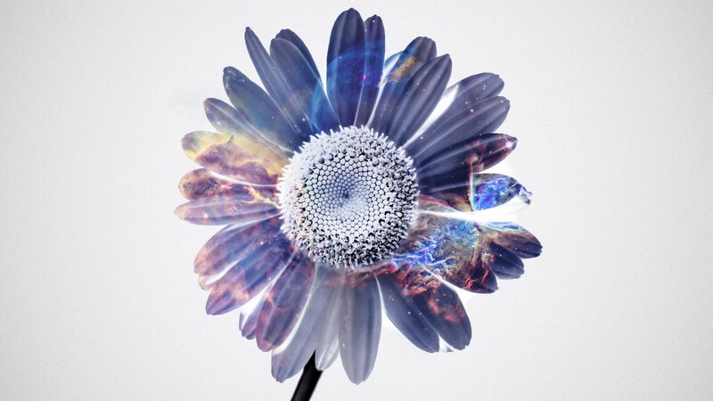 Flower with Galaxy Pattern