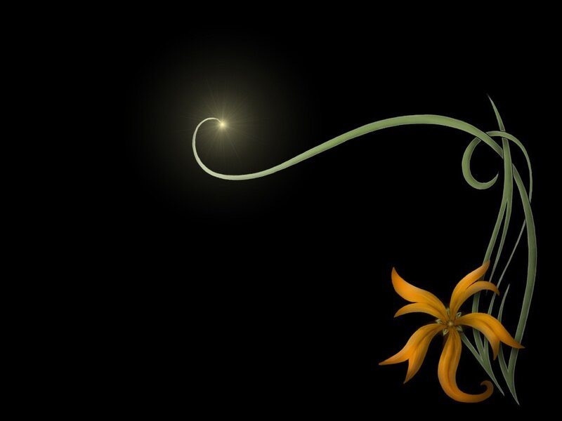 flower with glowing light