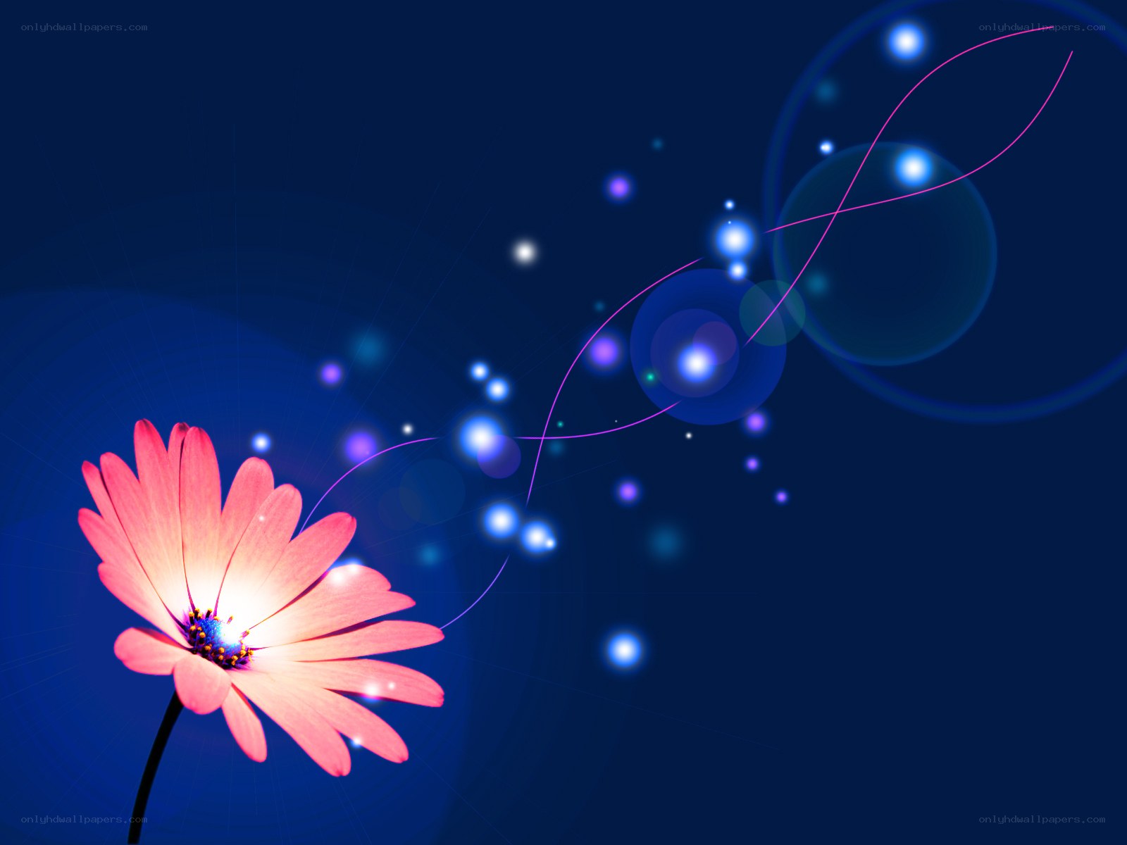Flower with glowing lights