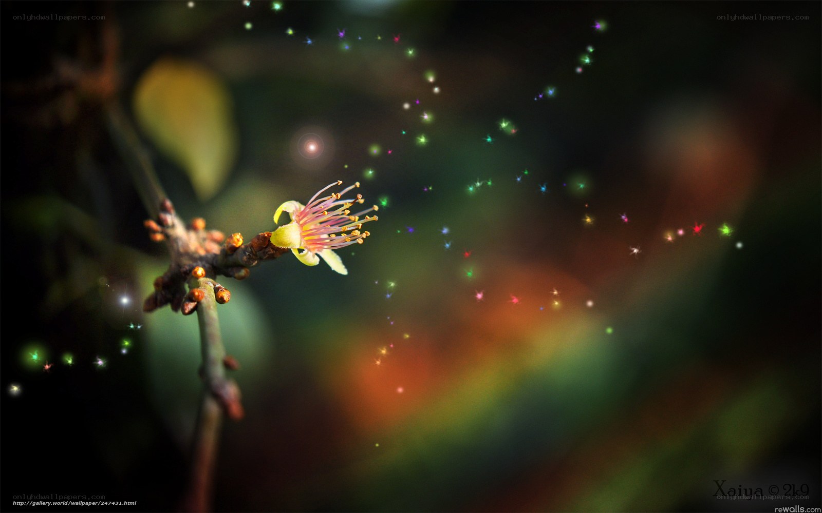 Flower with glowing particles