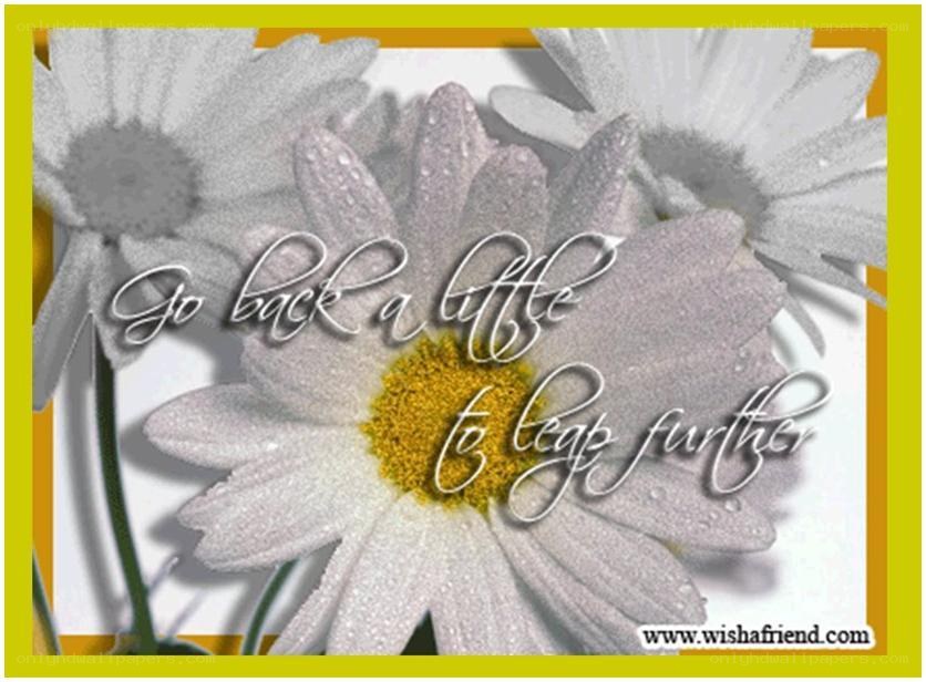 Flower with inspirational quote