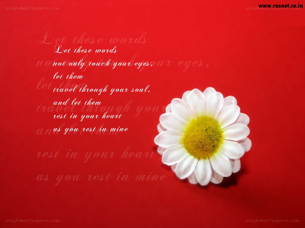 flower with quote on red