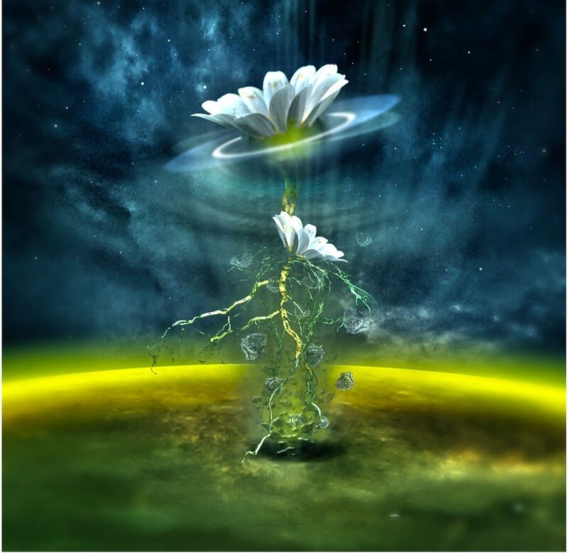Flower with Roots