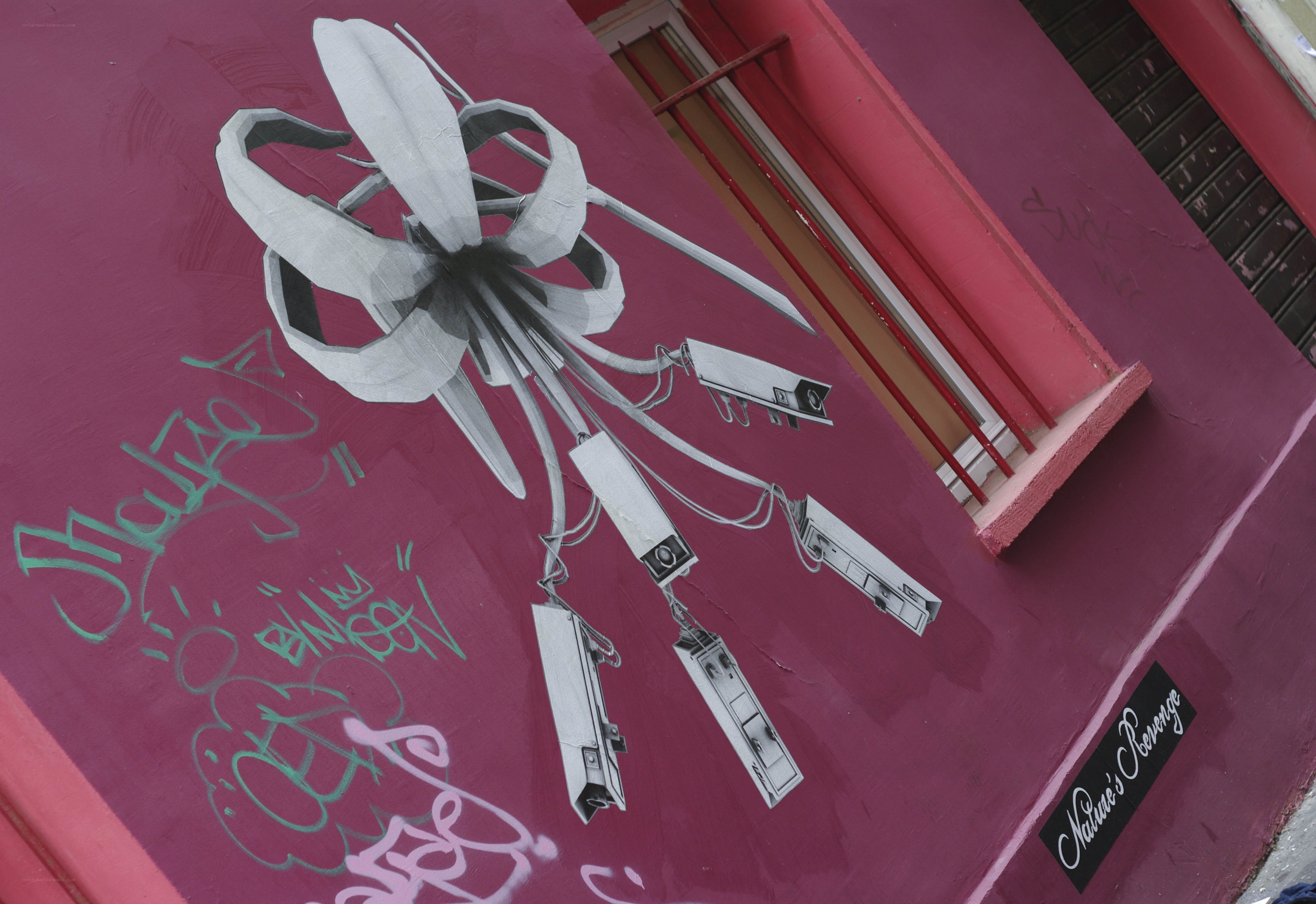 Flower with surveillance cameras