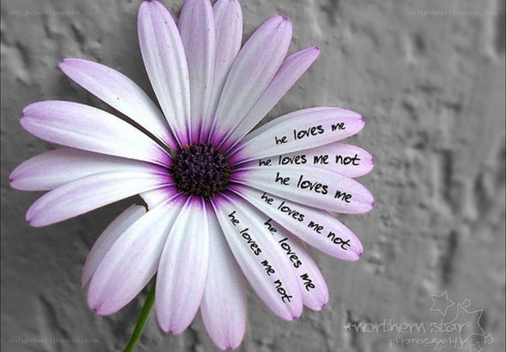 flower with text on petals