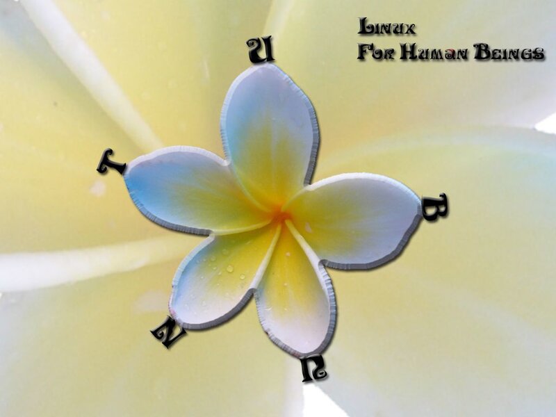 Flower with text overlay