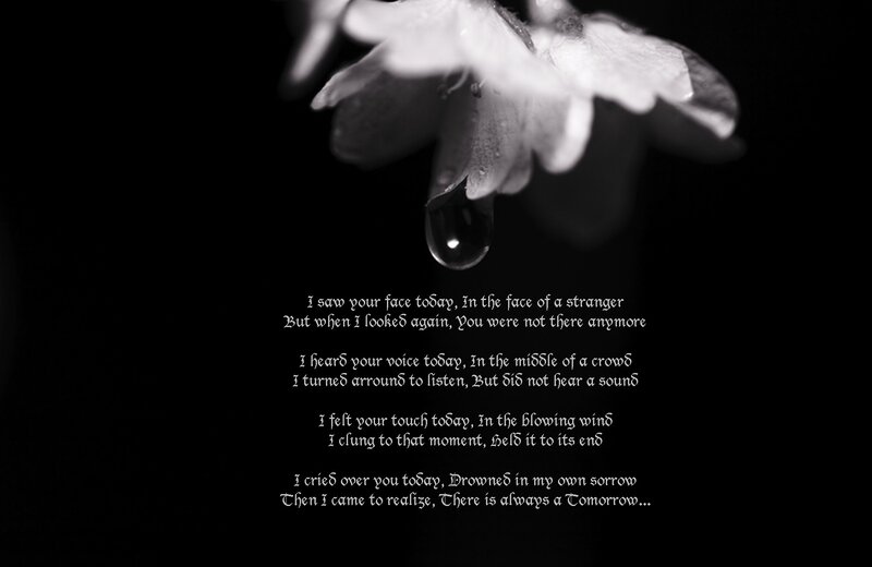 Flower with Water Droplet