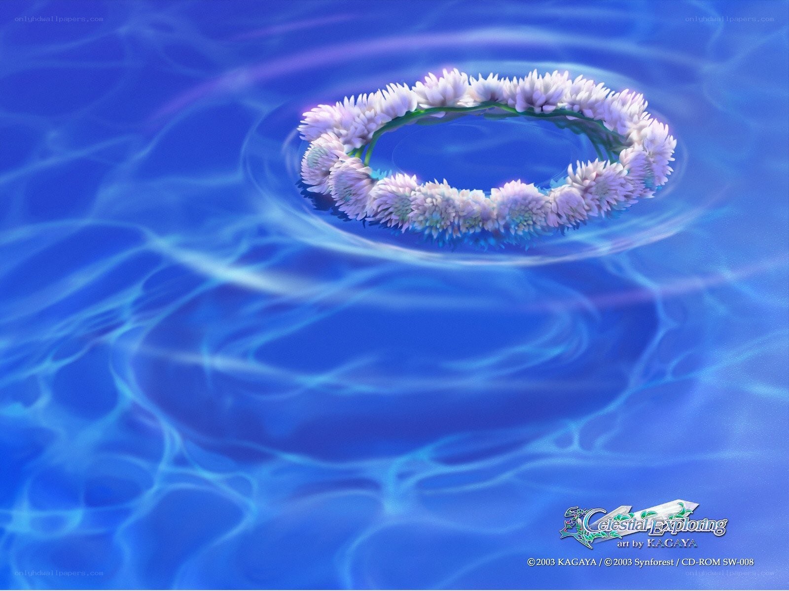 Flower wreath on water