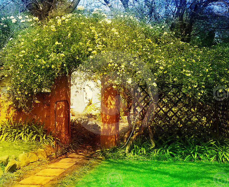 Flowering Archway Garden