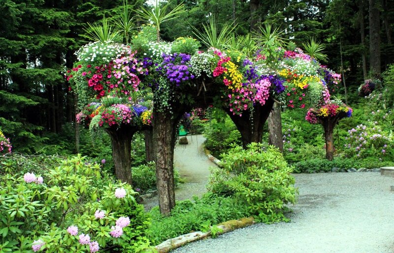 Flowering Archway in Garden — Green