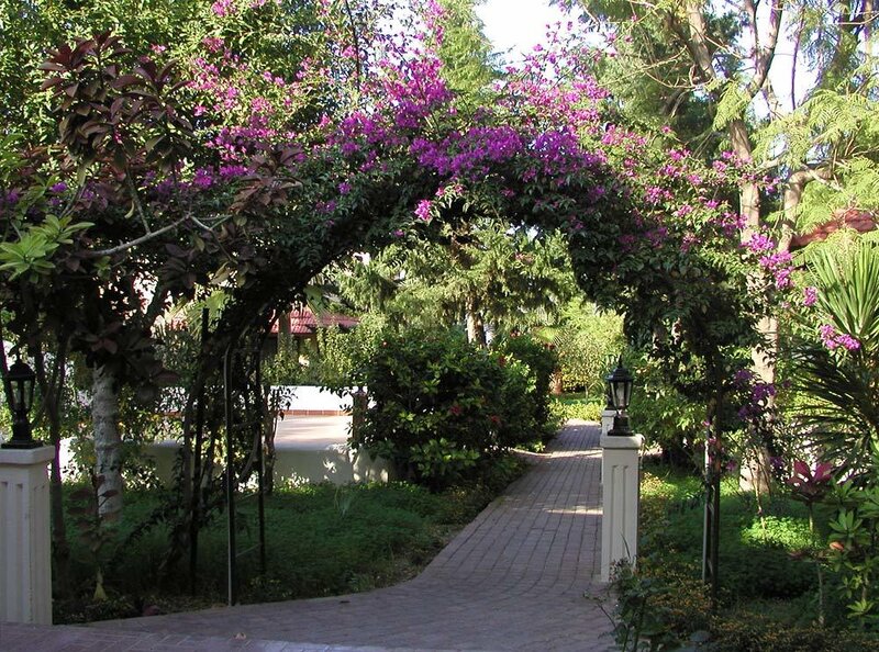 Flowering Archway in Garden