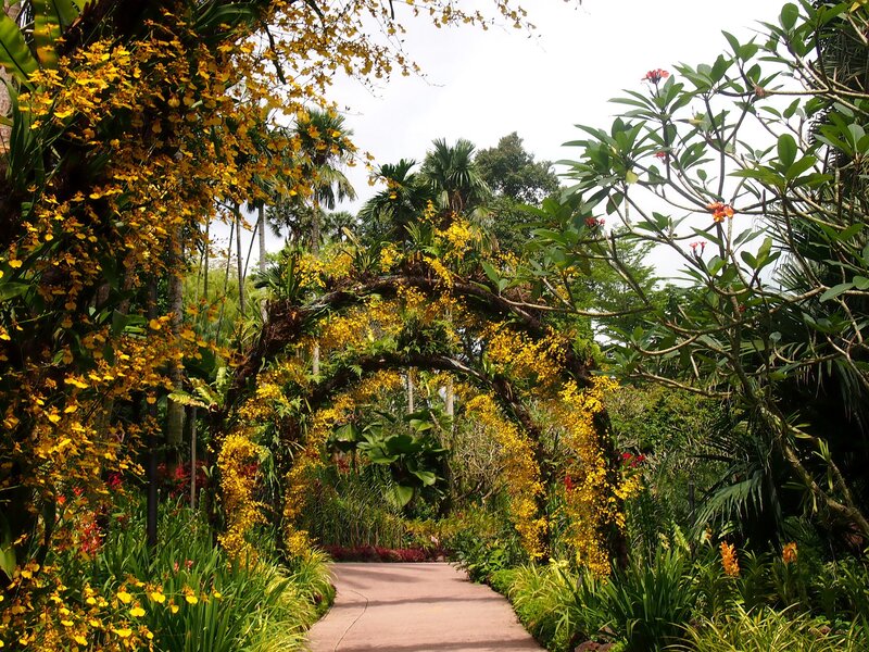 Flowering Archway in Garden — Yellow