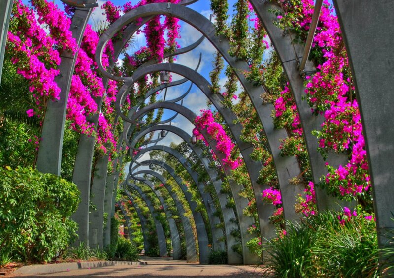 Flowering Archway Tunnel