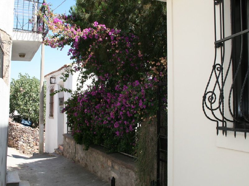 Flowering bougainvillea in a narrow alley