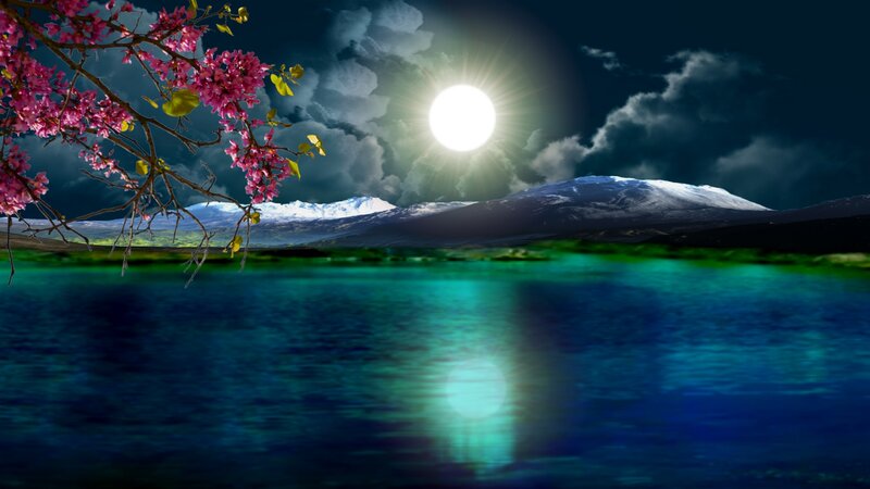 Flowering Branch over Lake