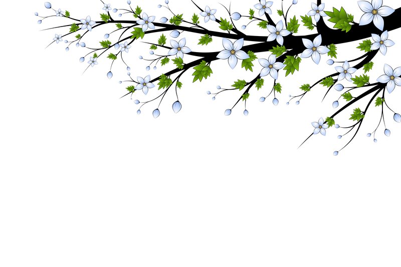 Flowering Branch with Leaves