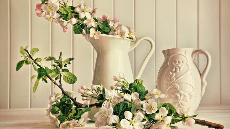 Flowering Branches in Jugs