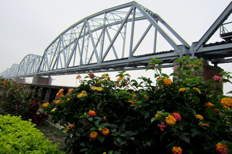 Flowering Bushes under Bridge