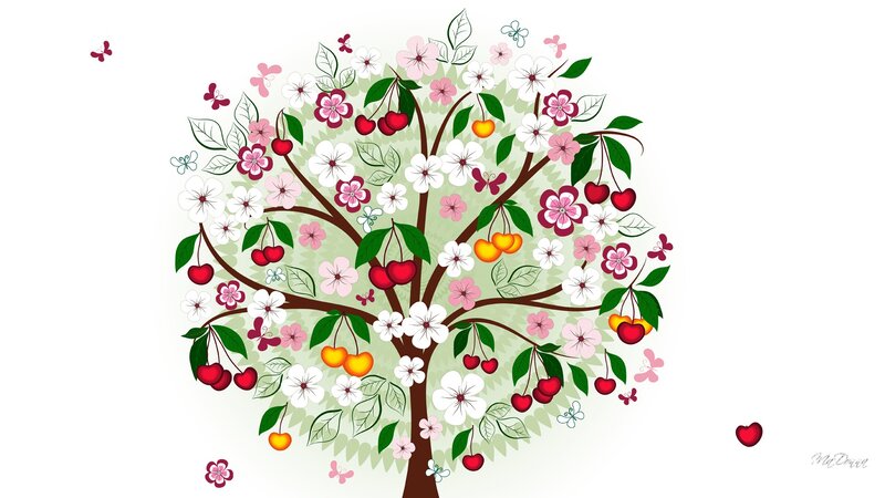 Flowering Cherry Tree — White