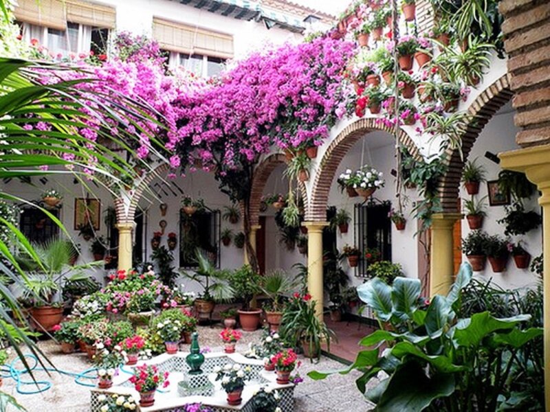 Flowering Courtyard Garden