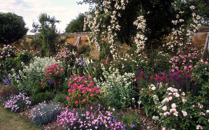 Flowering Garden Bed