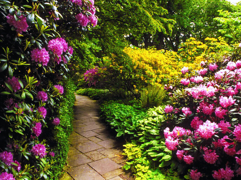 Flowering Garden Path — Green, Serene, Spring